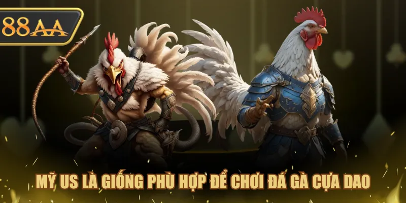 Mỹ US là giống phù hợp để chơi đá gà cựa dao