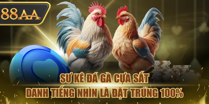 Sư Kê Đá Gà Cựa Sắt Danh Tiếng Nhìn Là Đặt Trúng 100% 2 đá gà cựa sắt